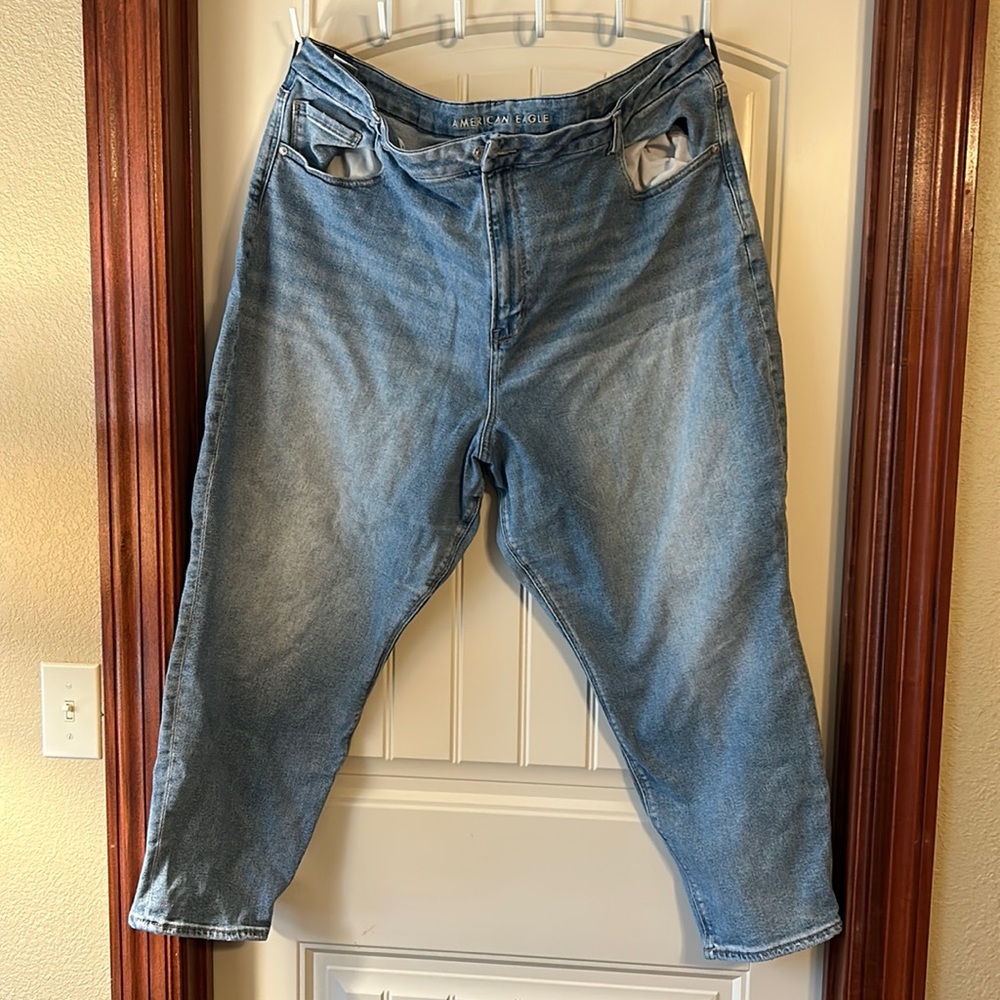 American Eagle curvy mom jean plus size 24
